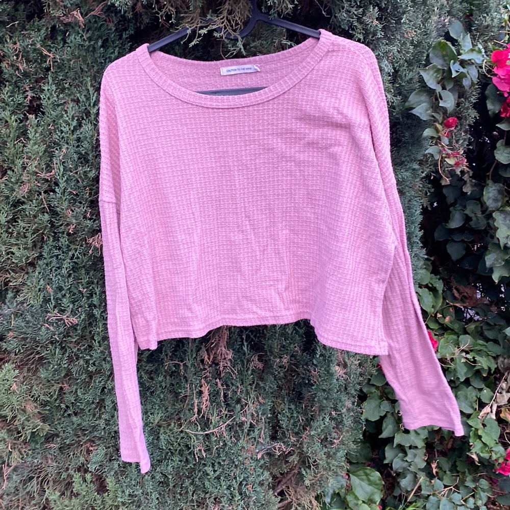 Caution to the wind long sleeve crop top